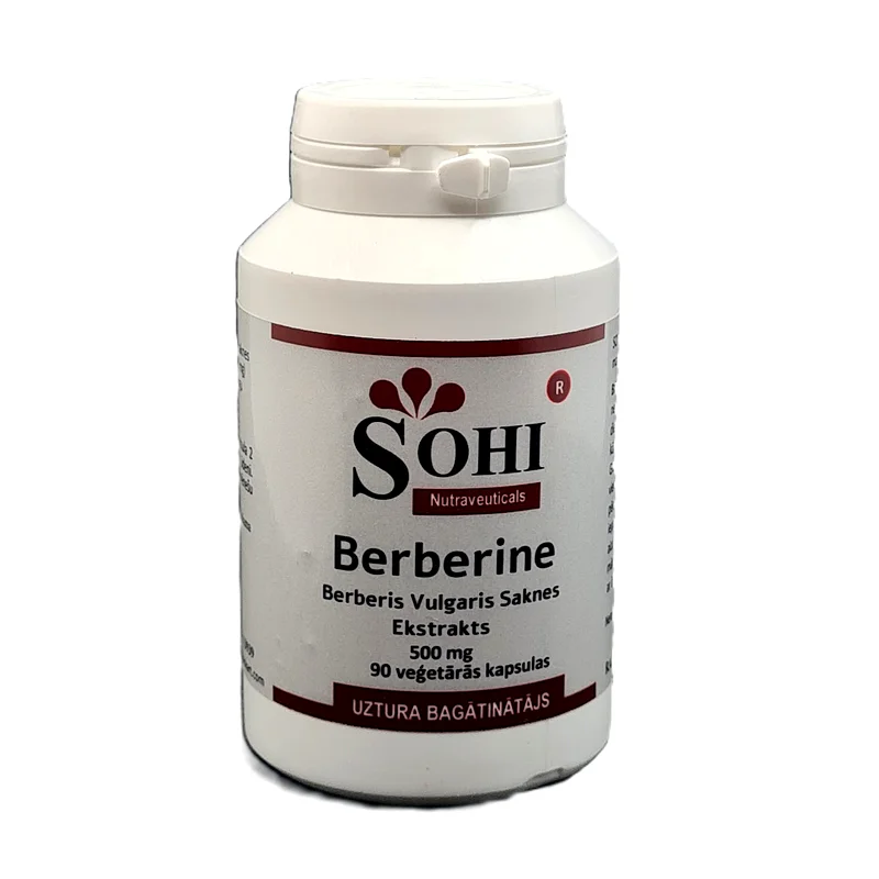 Berberine N90 - SOHI Premium Natural Wellness