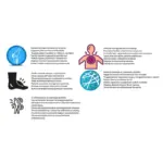 Boswellin - SOHI Premium Natural Wellness