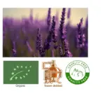 Lavanda (Organic) Lavandula augustifolia - SOHI Premium Natural Wellness