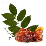 Peru balsam / Peru Balzams (Myroxylon pereirae), ēteriskā eļļa - SOHI Premium Natural Wellness