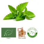 Spearmint (Organic) Mentha spicata - SOHI Premium Natural Wellness